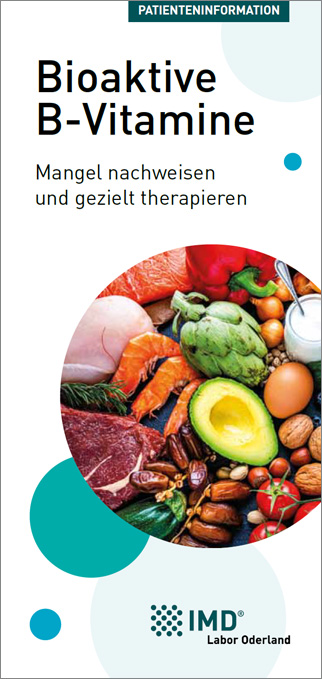 Abbildung des Flyers